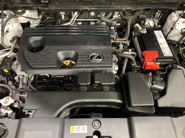 LEXUS NX250
