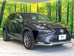 LEXUS NX300h