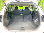 RAIZE HYBRID