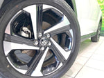 RAIZE HYBRID