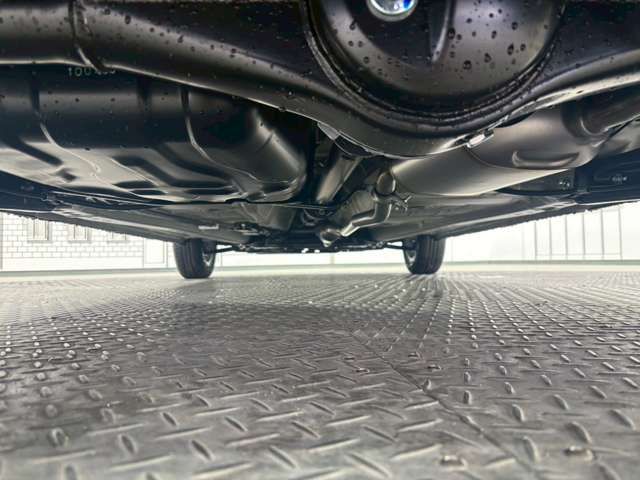 ALTO LAPIN 4WD