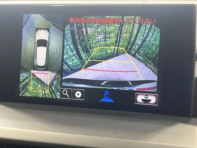LEXUS NX300h
