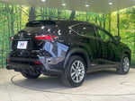 LEXUS NX300h
