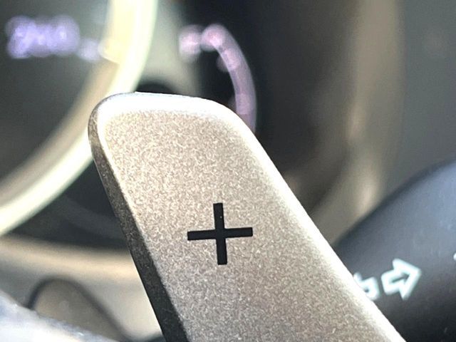 LEXUS IS300h