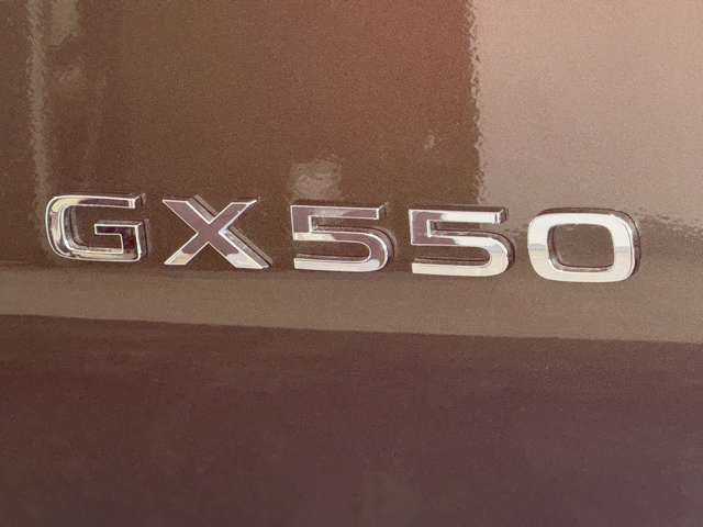 LEXUS GX550