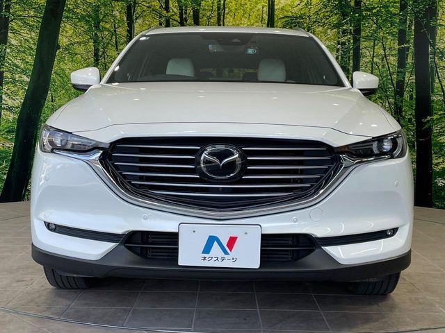 CX-8