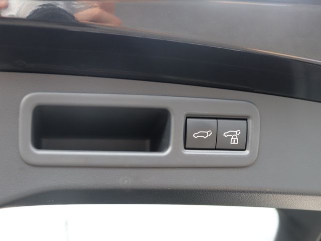 LEXUS RX450h+