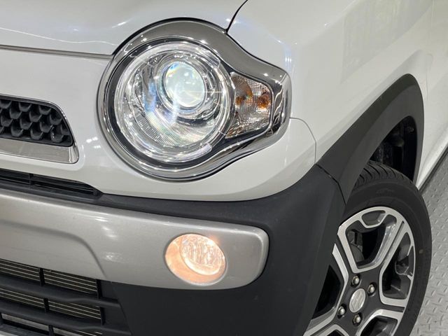 HUSTLER 4WD