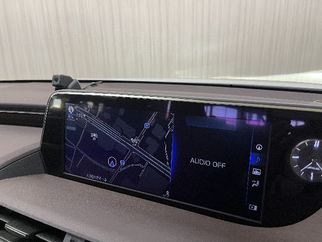 LEXUS ES300h