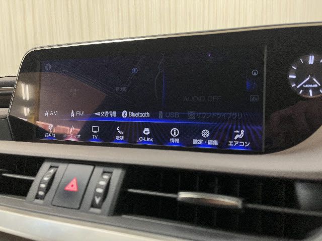 LEXUS ES300h