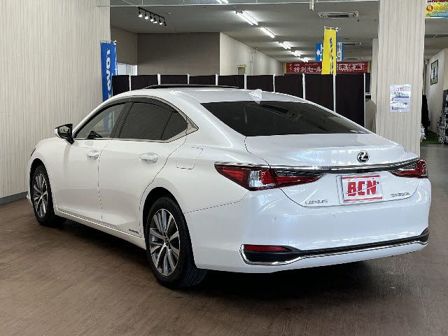 LEXUS ES300h