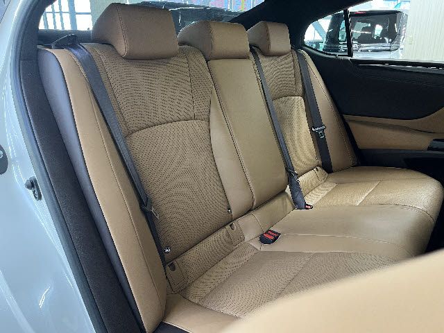 LEXUS ES300h