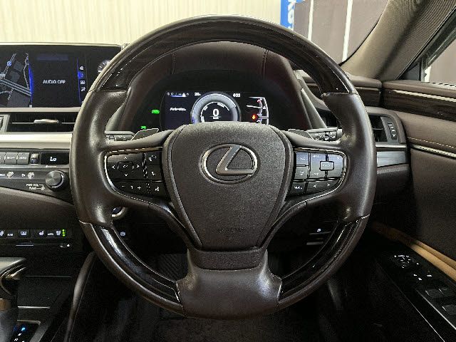 LEXUS ES300h