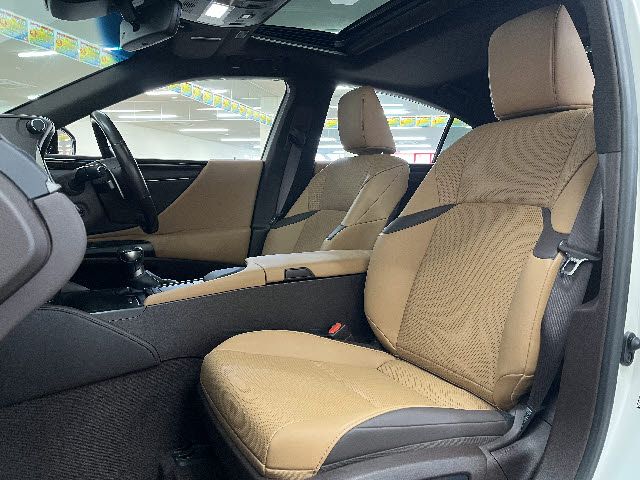 LEXUS ES300h