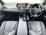 LEXUS ES300h