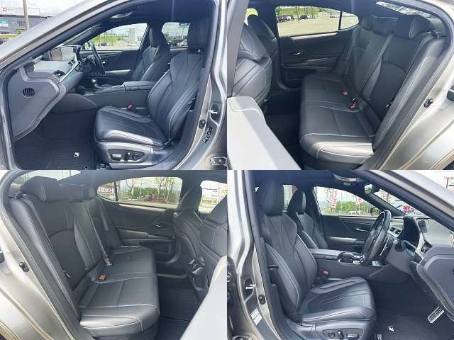 LEXUS ES300h