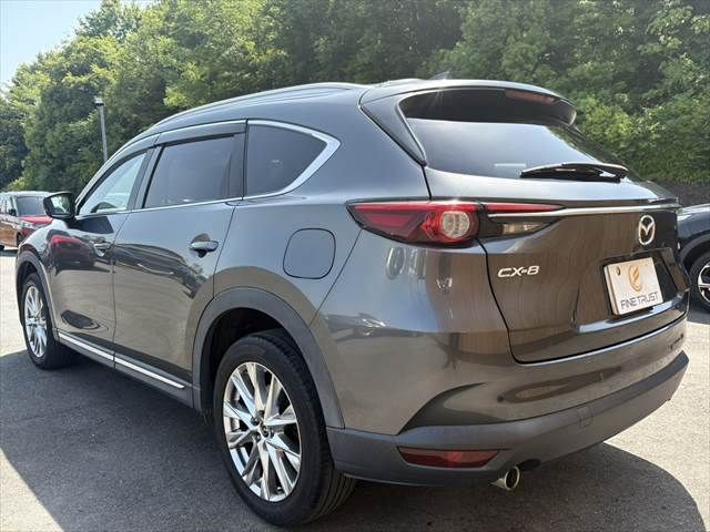 CX-8
