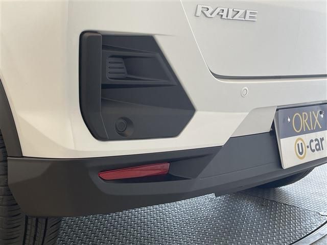 RAIZE HYBRID
