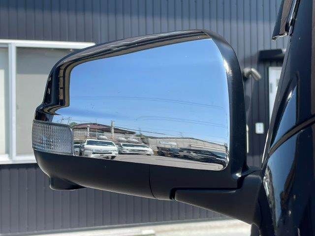 CARAVAN wagon