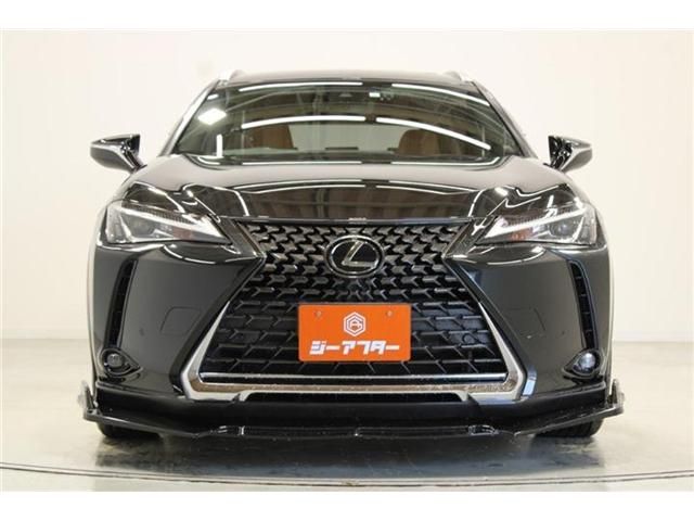 LEXUS UX200
