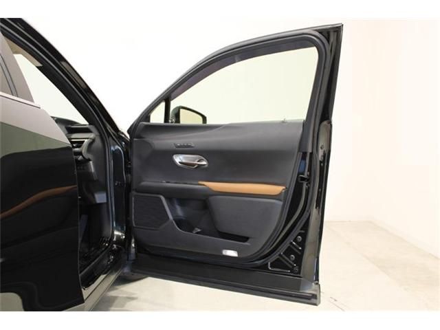 LEXUS UX200