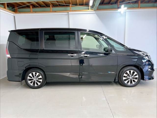 SERENA  S-HYBRID