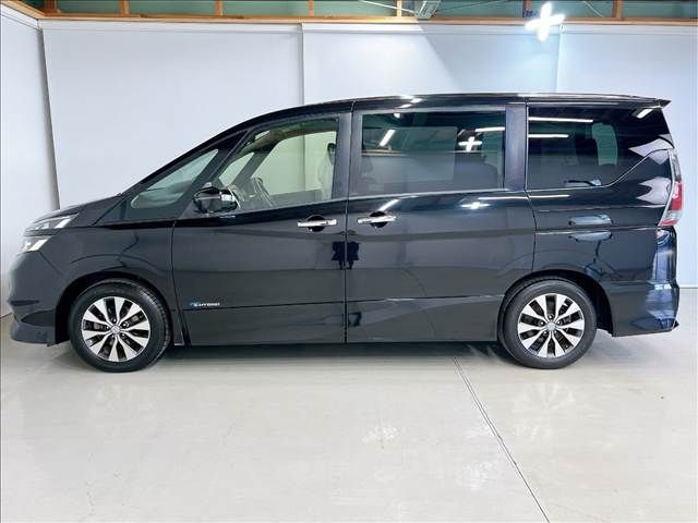 SERENA  S-HYBRID