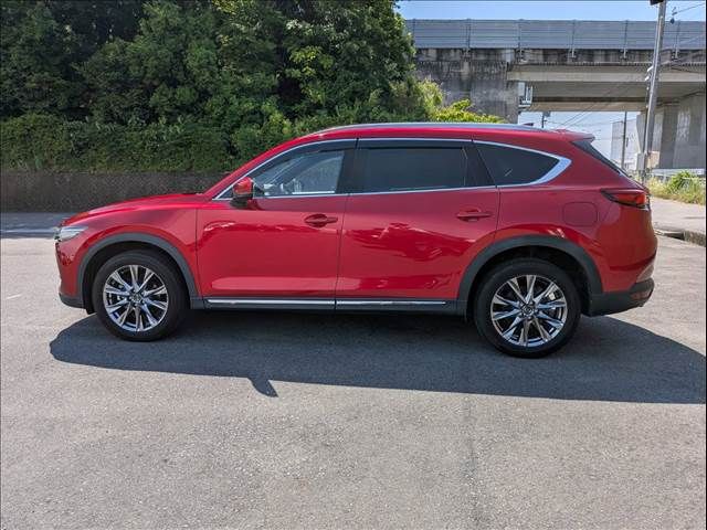 CX-8