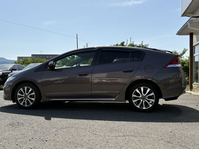 INSIGHT EXCLUSIVE