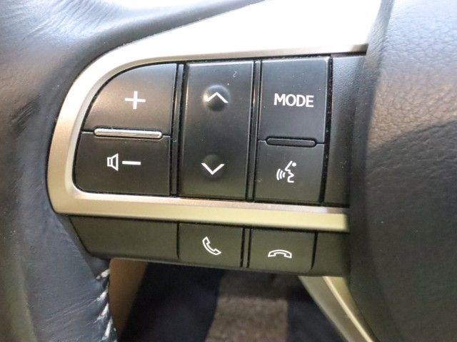 LEXUS GS300h