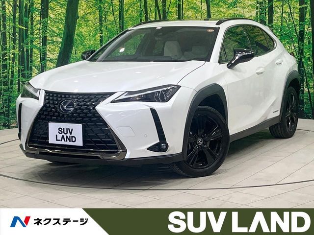 LEXUS UX250h