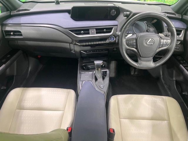 LEXUS UX250h