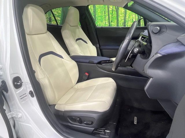 LEXUS UX250h