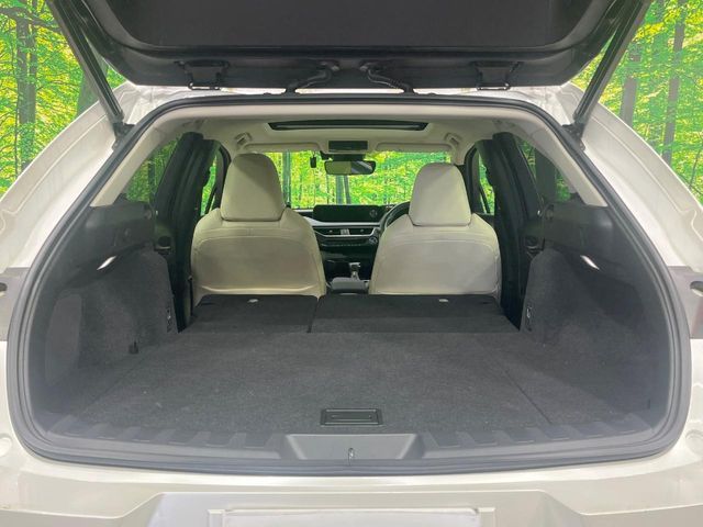 LEXUS UX250h