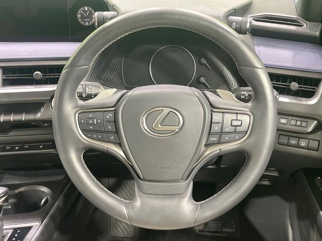 LEXUS UX250h