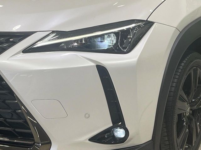LEXUS UX250h