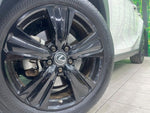 LEXUS UX250h