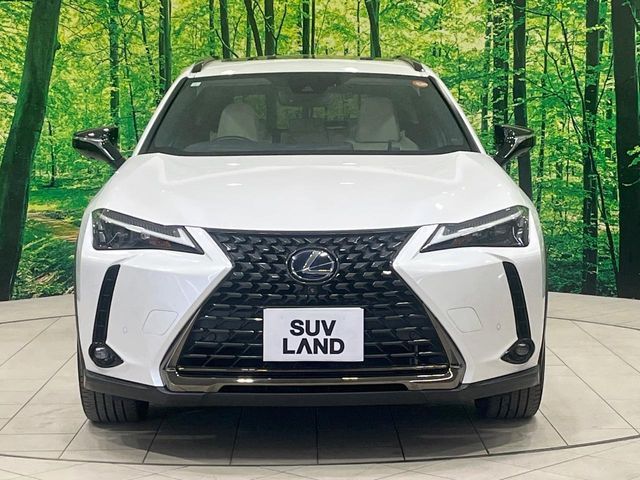 LEXUS UX250h