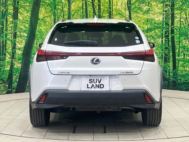 LEXUS UX250h