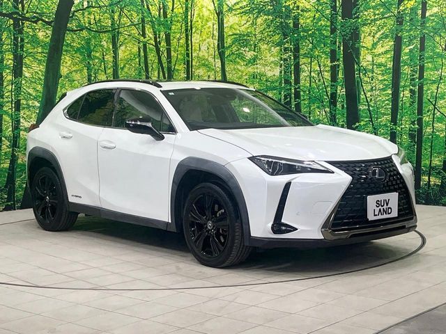 LEXUS UX250h