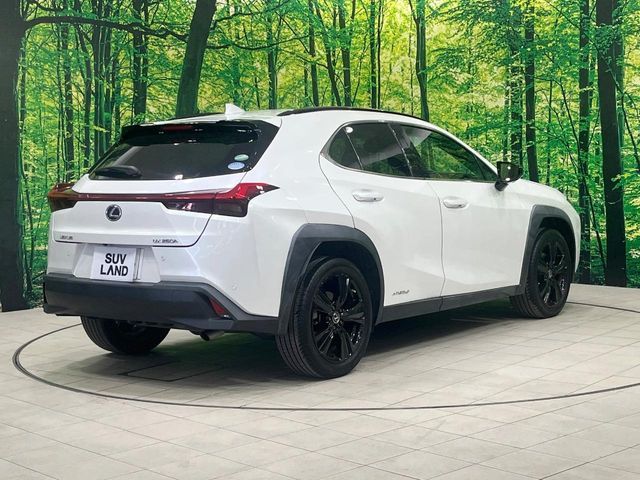 LEXUS UX250h