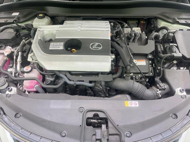LEXUS UX250h