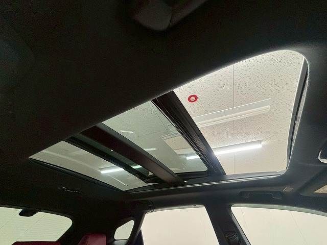 LEXUS RX500h