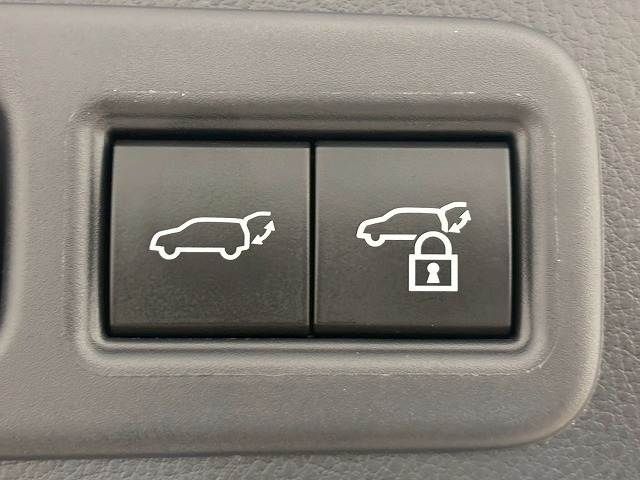 LEXUS RX500h
