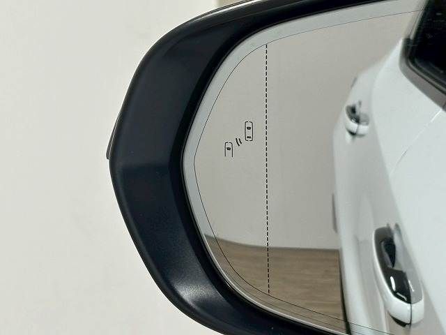 LEXUS RX500h