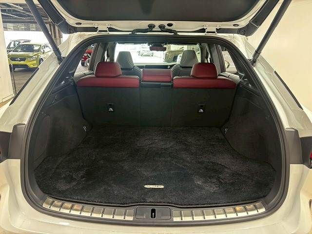 LEXUS RX500h