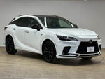 LEXUS RX500h
