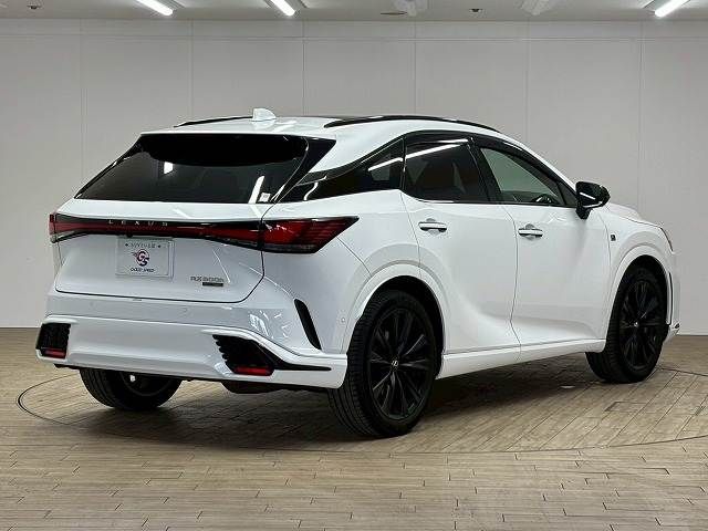 LEXUS RX500h
