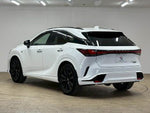 LEXUS RX500h