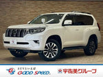 LANDCRUISER PRADO
